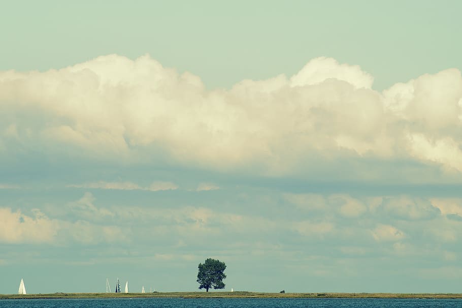 clouds, tree, sky, landscape, nature, rest, still, horizon HD wallpaper