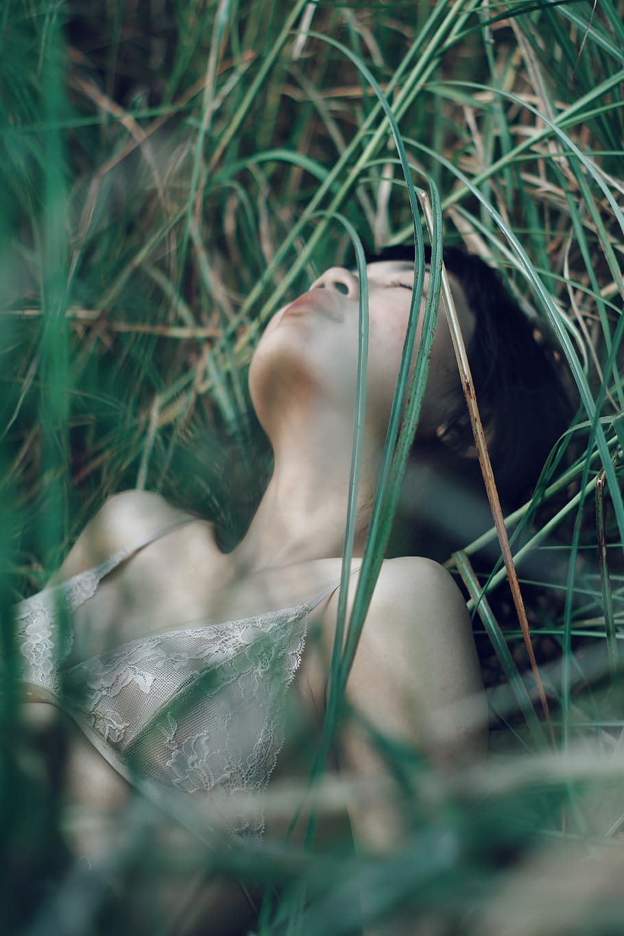 woman laying down on grass, plant, selective focus, growth, nature HD wallpaper