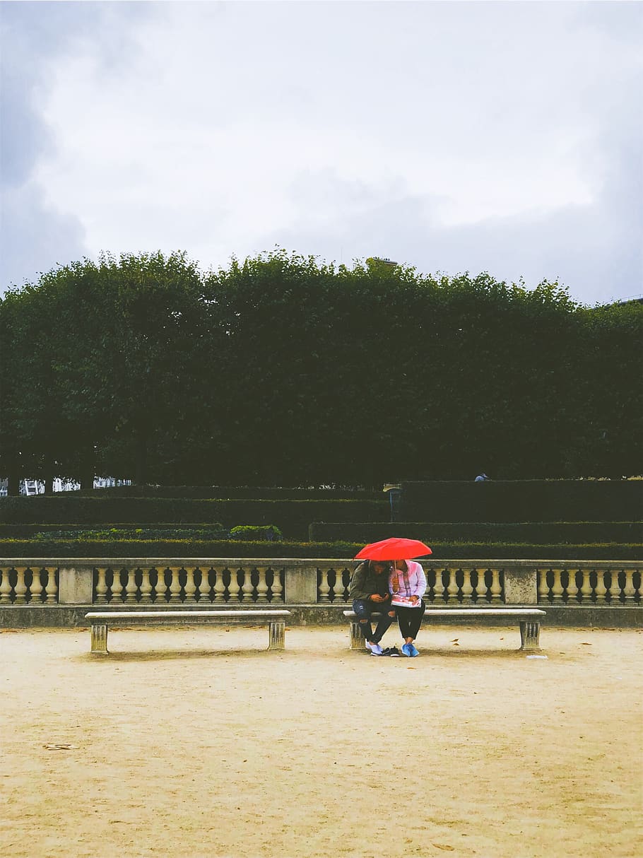friendship, umbrella, tree, real people, built structure, architecture HD wallpaper