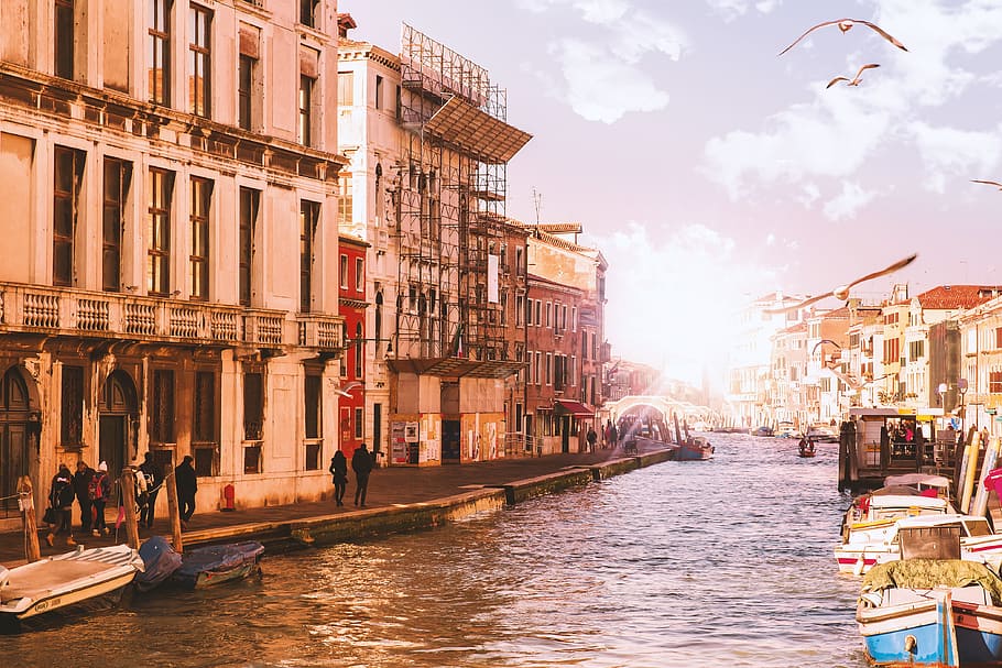 Canal in Venice with sun and flying birds, architecture, water HD wallpaper
