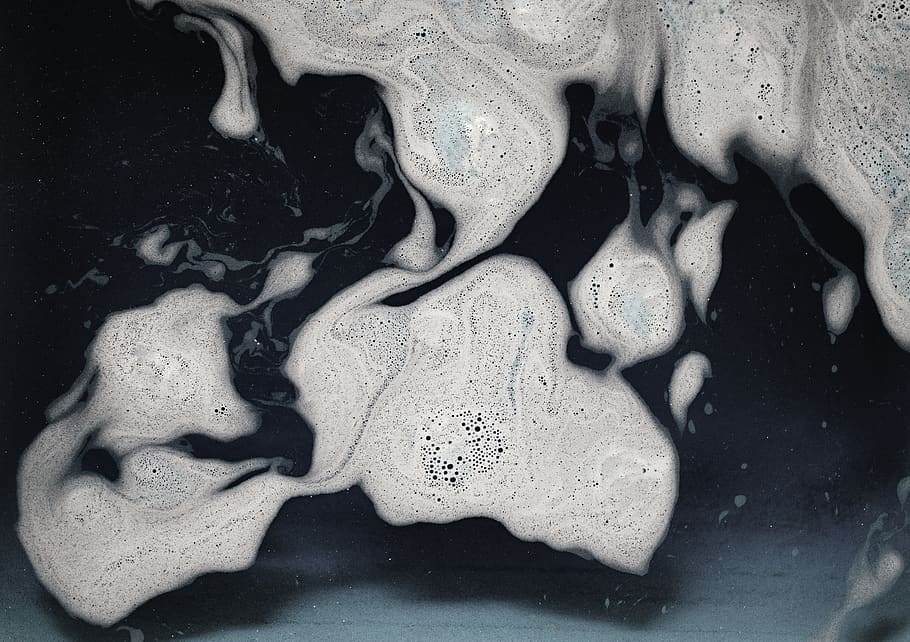 white and black ceramic plate, medical imaging x-ray film, ct scan HD wallpaper