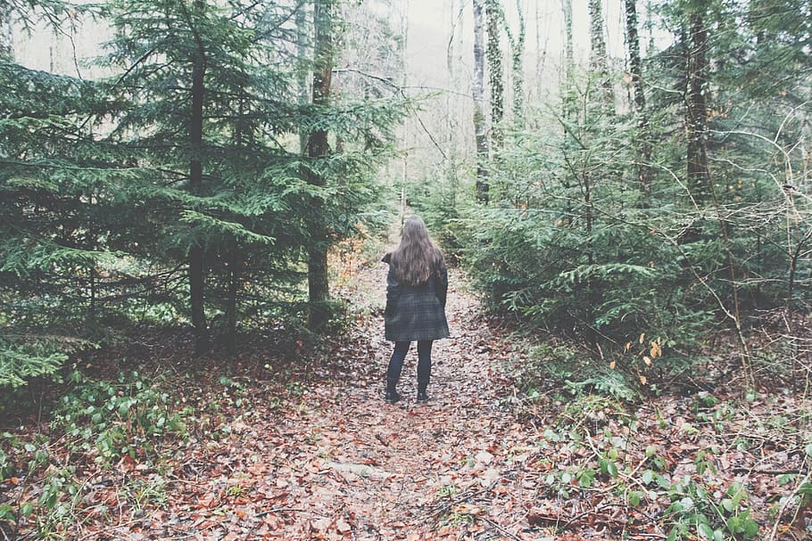 forest, tree, plant, land, real people, rear view, full length HD wallpaper