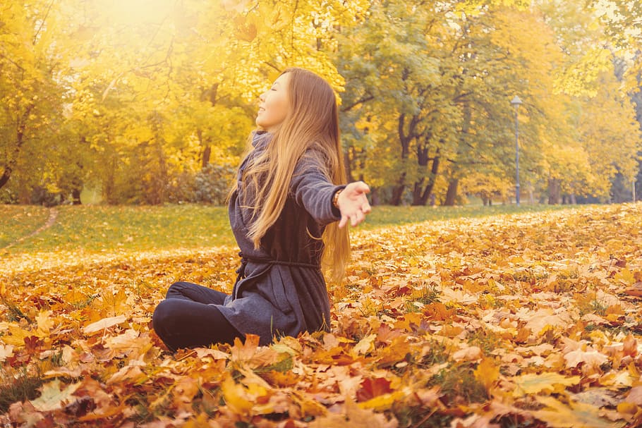 Young woman sitting on a fallen autumn leaves in a park, tree, HD wallpaper