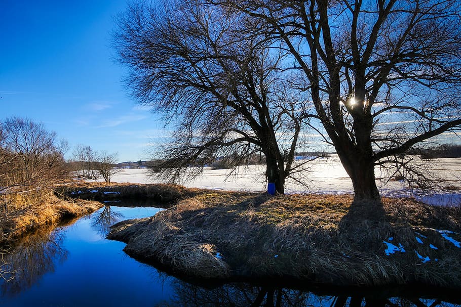 winter, bach, snow, nature, landscape, water, cold, trees, wintry HD wallpaper