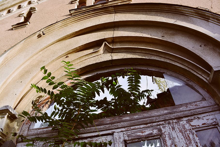 leaves, vsco, building, old building, street, streetphotography HD wallpaper