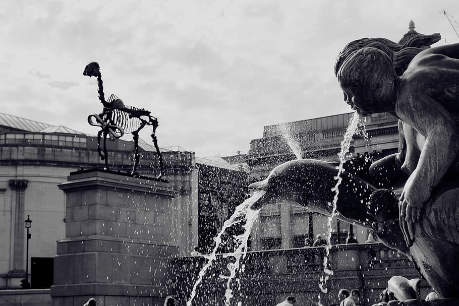 london, united kingdom, trafalgar square, fountain, horse skeleton, HD wallpaper
