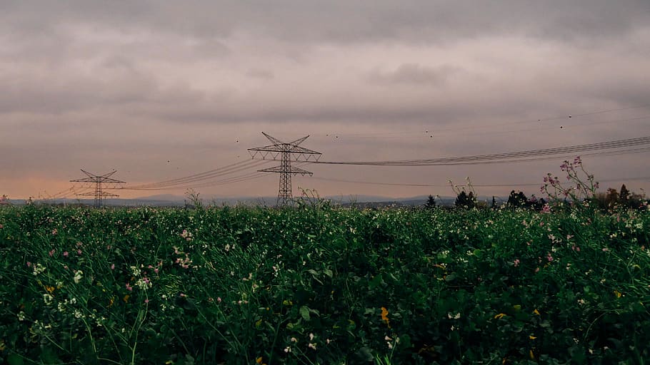 Scenic View of the Field, clouds, cloudy, cropland, crops, electricity HD wallpaper