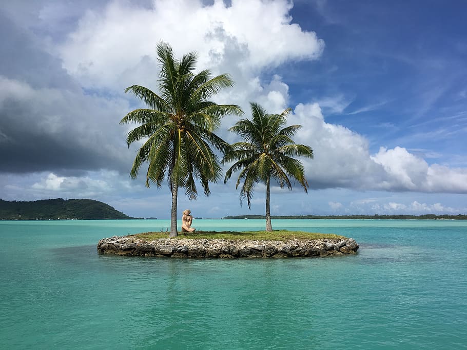 Coconut Trees Planted on Island, clouds, coconuts, daylight, grass HD wallpaper