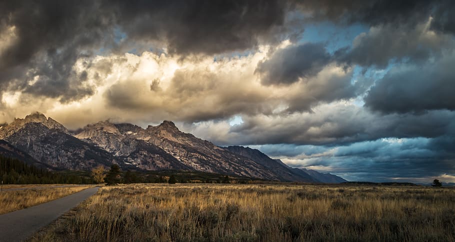gray mountain, field, grassland, outdoors, grand teton national park HD wallpaper