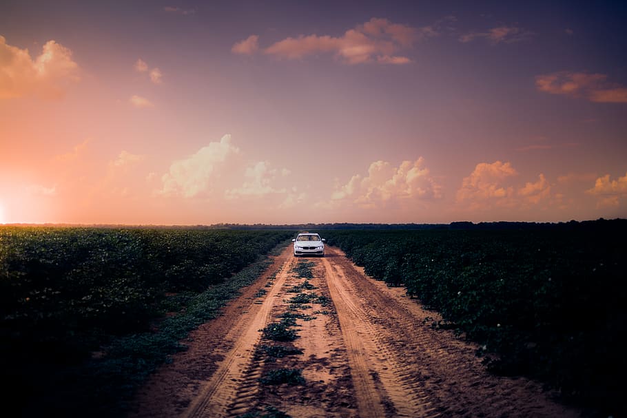 White Car on Dirt Road in the Middle of Grass Field, clouds, crops, HD wallpaper