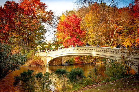 white concrete bridge, outdoors, tree, water, park, new york HD wallpaper