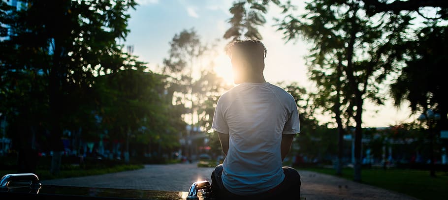 man sitting on road, tree, one person, plant, sunlight, rear view HD wallpaper