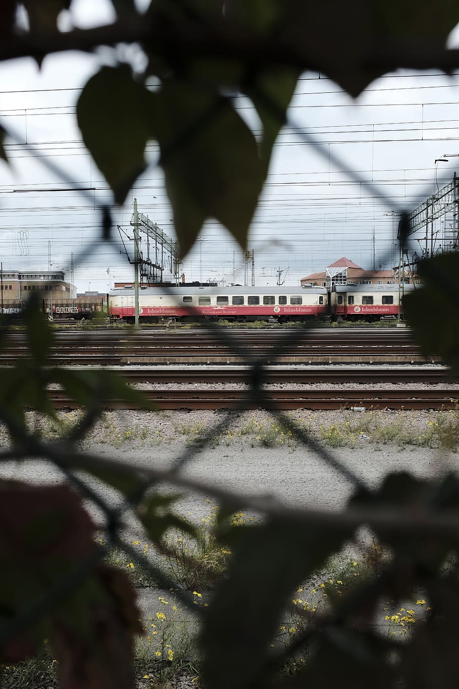 white and red train, transportation, rail transportation, track HD wallpaper