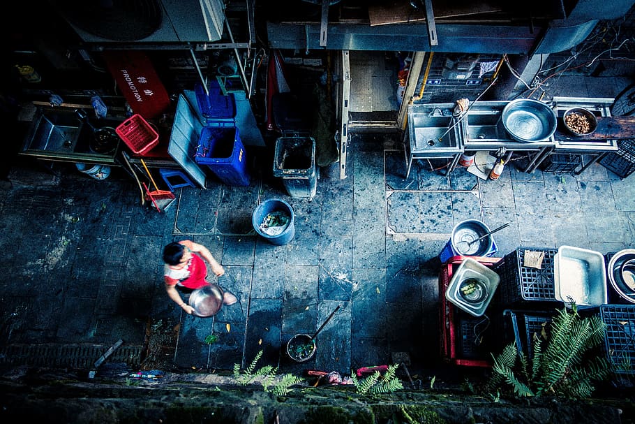 people, man, dirty, kitchen, bowl, pale, tray, messy, plant HD wallpaper