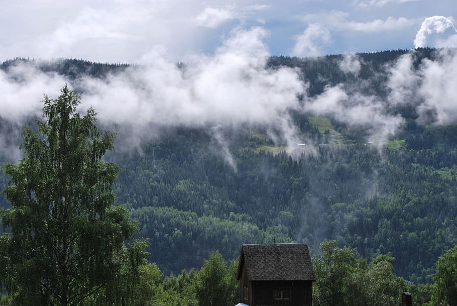 norway, mountain, cloud, nature, tree, plant, beauty in nature HD wallpaper