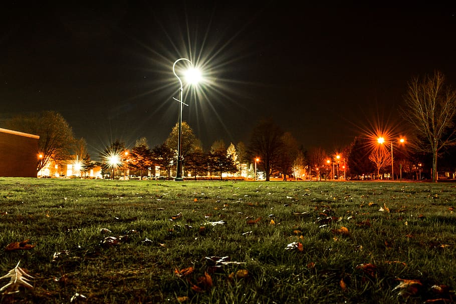 lamp, light, rays, cool, cold, dark, stars, long exposure, aperture HD wallpaper