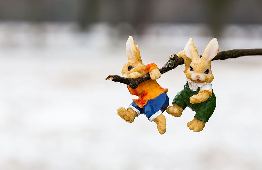 rabbit, easter, sweet, focus on foreground, animal representation HD wallpaper