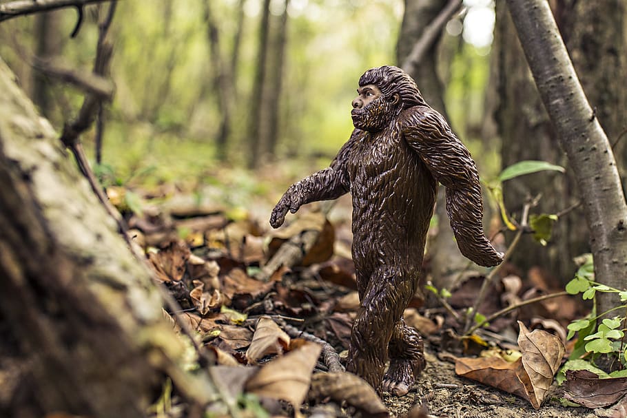 Apeman Garden Decor Close-up Photography, animal, bigfoot, evolution HD wallpaper