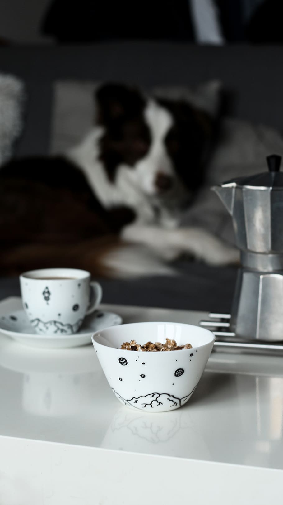 two white ceramic teacups, mammal, food and drink, pets, domestic HD wallpaper