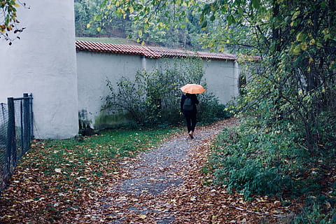 andechs, monastery, autumn, bavaria, umbrella, germany, forest HD wallpaper