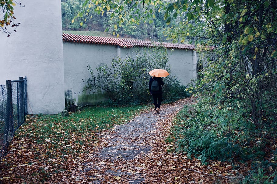 andechs, monastery, autumn, bavaria, umbrella, germany, forest HD wallpaper