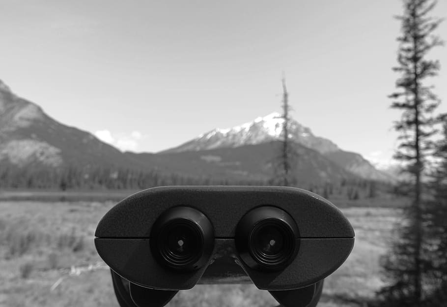 mountains, trees, forest, binoculars, look out, focus on foreground HD wallpaper