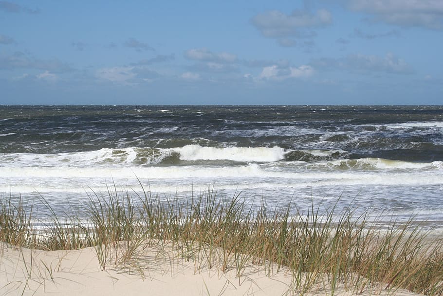 sylt, beach, north sea, sand, landscape, water, coast, sky, HD wallpaper