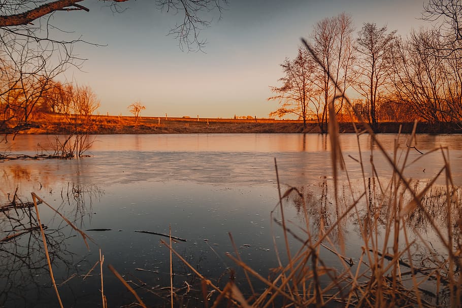 pond, lake, evening, sun, sunset, nature, water, landscape HD wallpaper