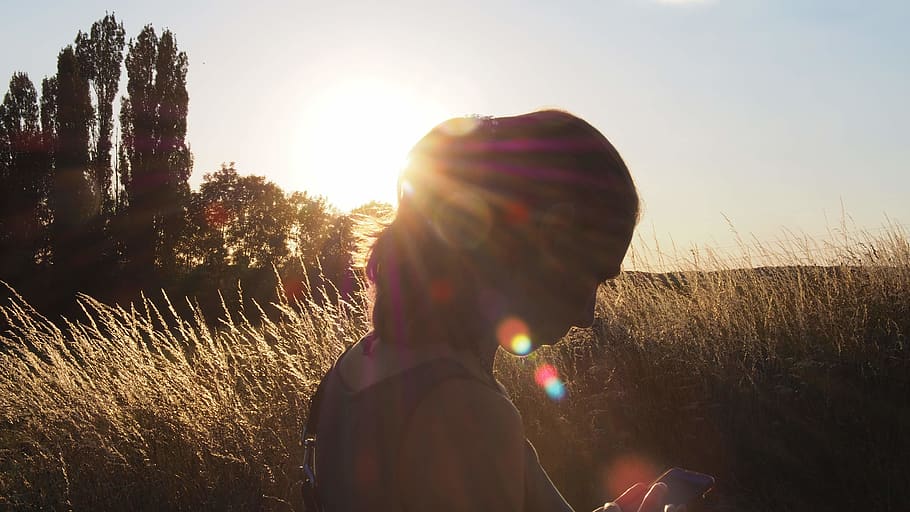 Silhouette of Woman Standing Near Green Grass Plants, backlit HD wallpaper