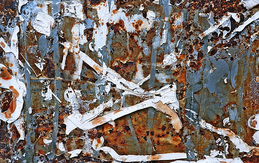 rust, texture, steel, slate, bird, animal, robin, oil spill HD wallpaper