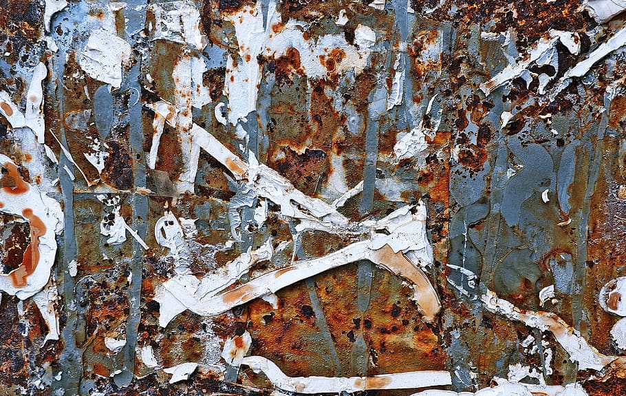 rust, texture, steel, slate, bird, animal, robin, oil spill, HD wallpaper