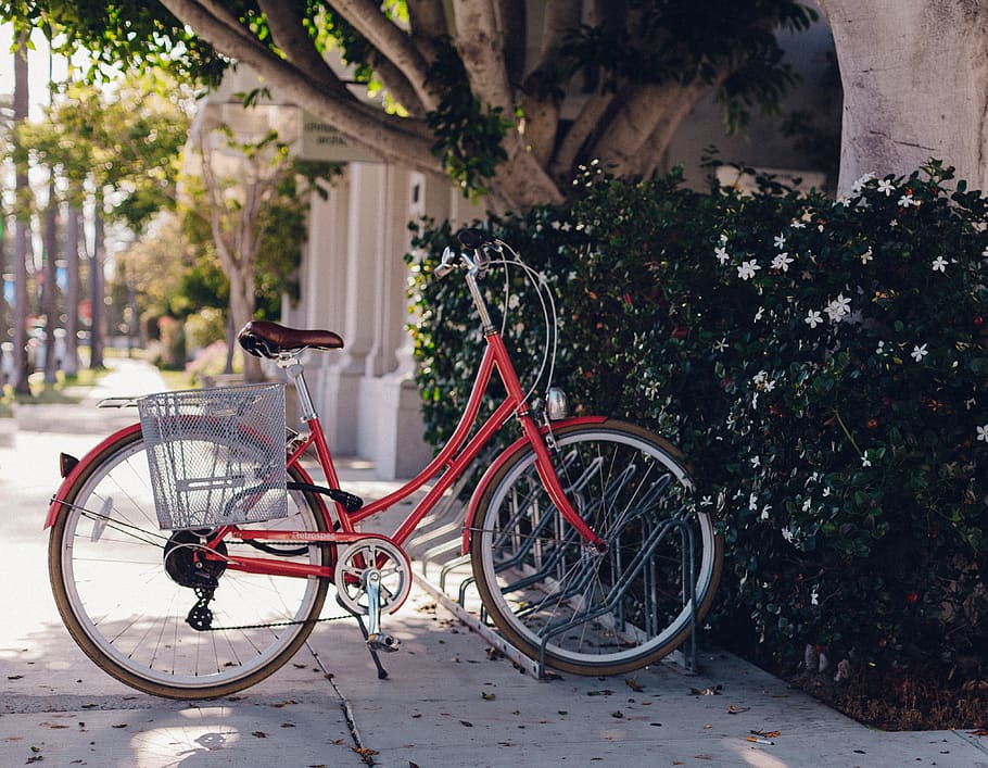 green, plants, trees, flowers, alley, park, shade, bike, bicycle HD wallpaper