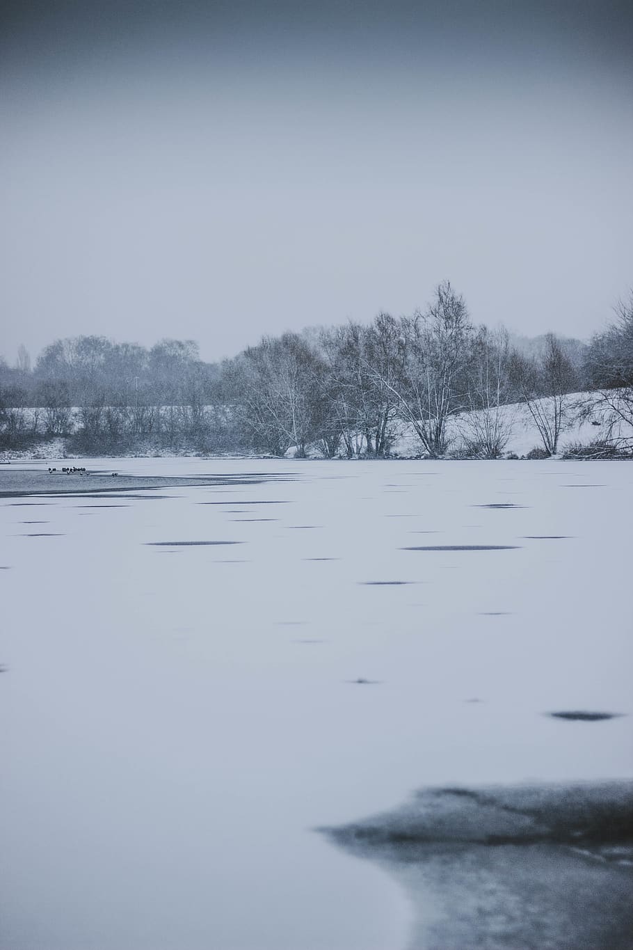 trees covered by snow during daytime, cold temperature, winter HD wallpaper