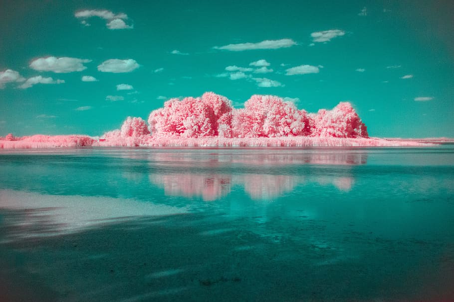 pink cloud formation above calm body of water, river, abstract HD wallpaper