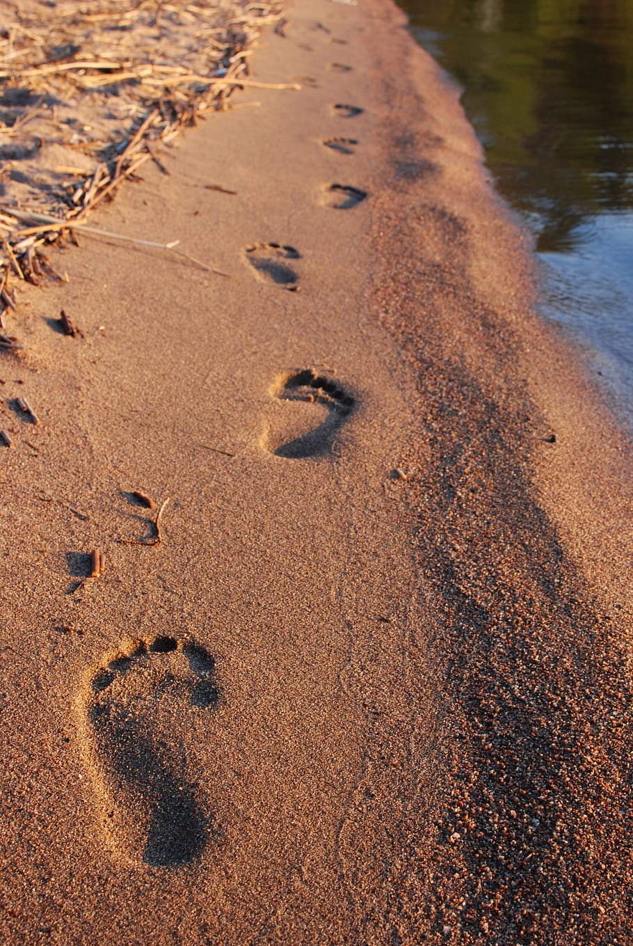 steps, sand, beach, footprint, walk, track, sea, nature, summer HD wallpaper