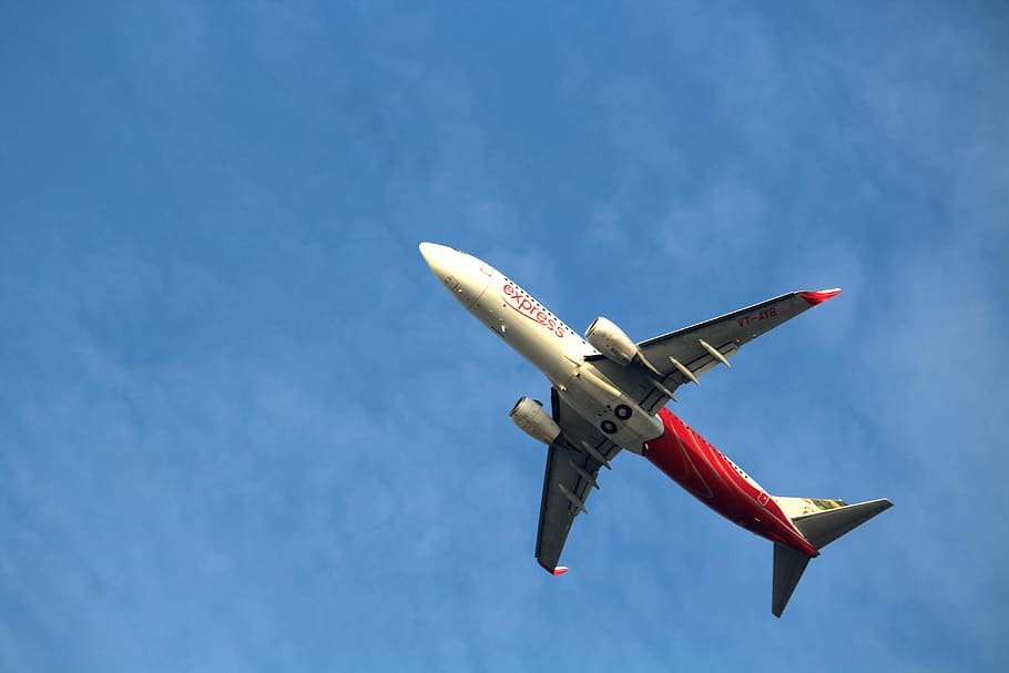 flight, airplane, sky, bottom, travel, cloud, air vehicle, flying HD wallpaper