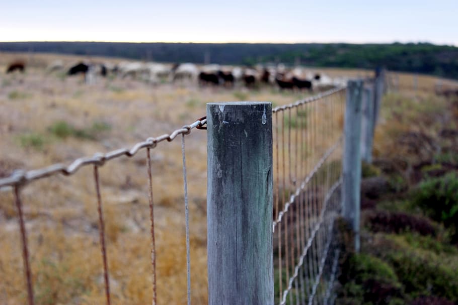 field, brown, fence, landscape, boundary, barrier, safety, wire HD wallpaper