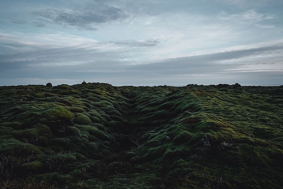 iceland, landscape, eternity, emotions, sensations, moss, sonyalpha, HD wallpaper