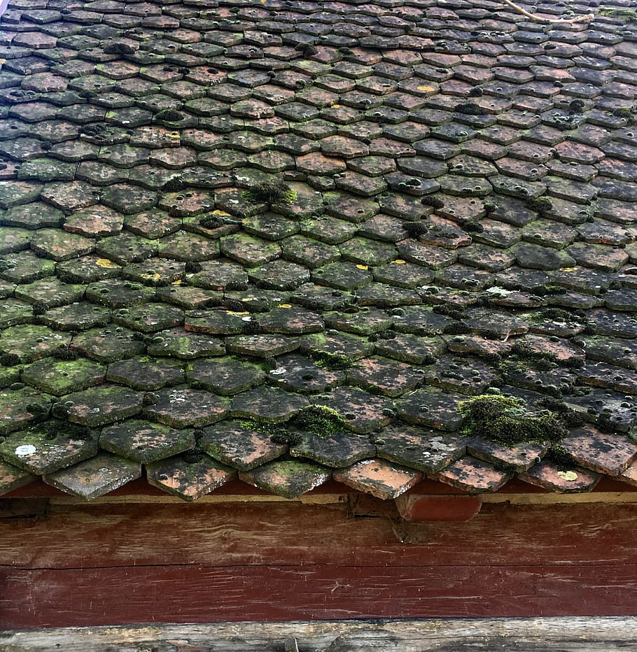 green shades, roof, no people, high angle view, green color HD wallpaper