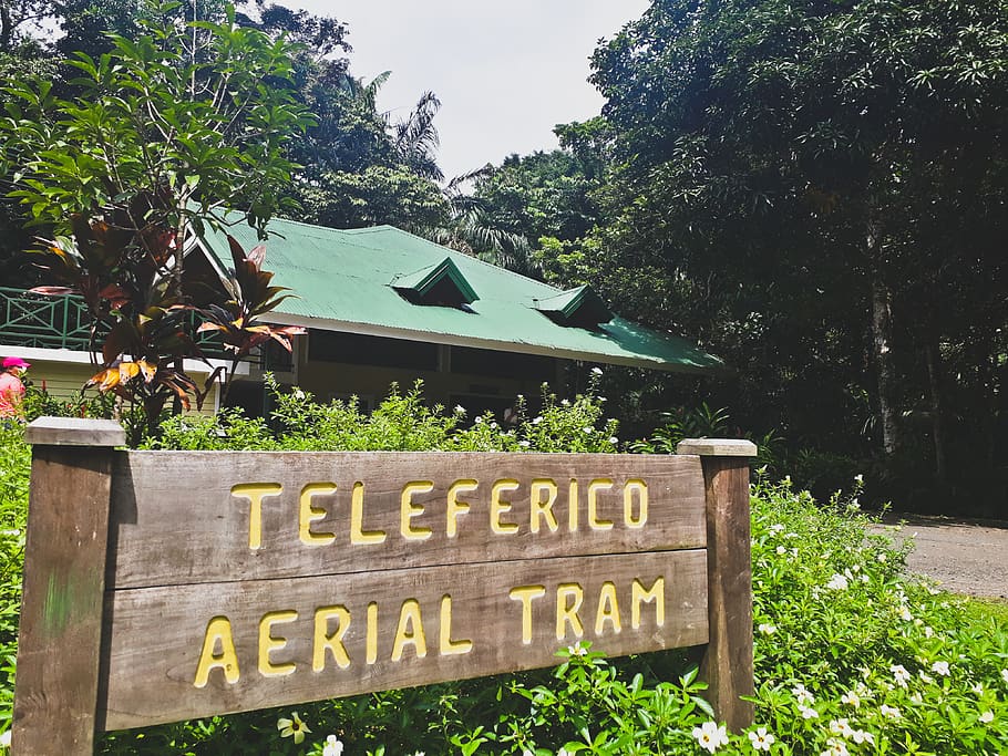 forest, nature, teleferic, panama, plant, tree, text, communication HD wallpaper