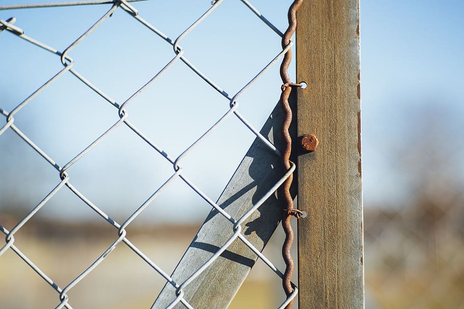 closeup photography of nail stumped on wood beside wire-link fence, HD wallpaper