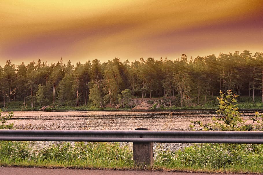 sweden, sunlight, nature, forest, tree, trees, water, sunset HD wallpaper