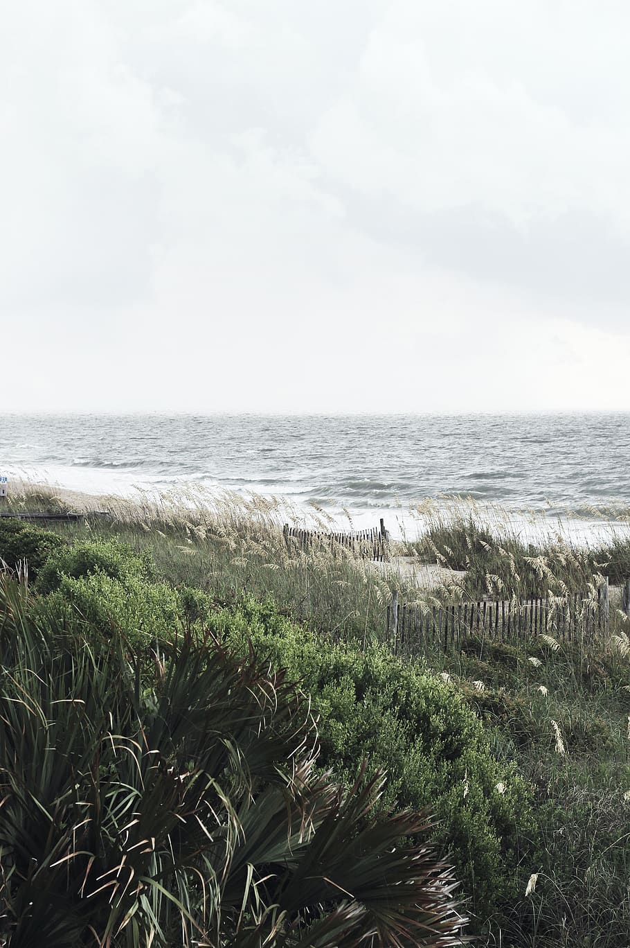 sea, ocean, water, waves, nature, green, grass, coast, outdoor HD wallpaper