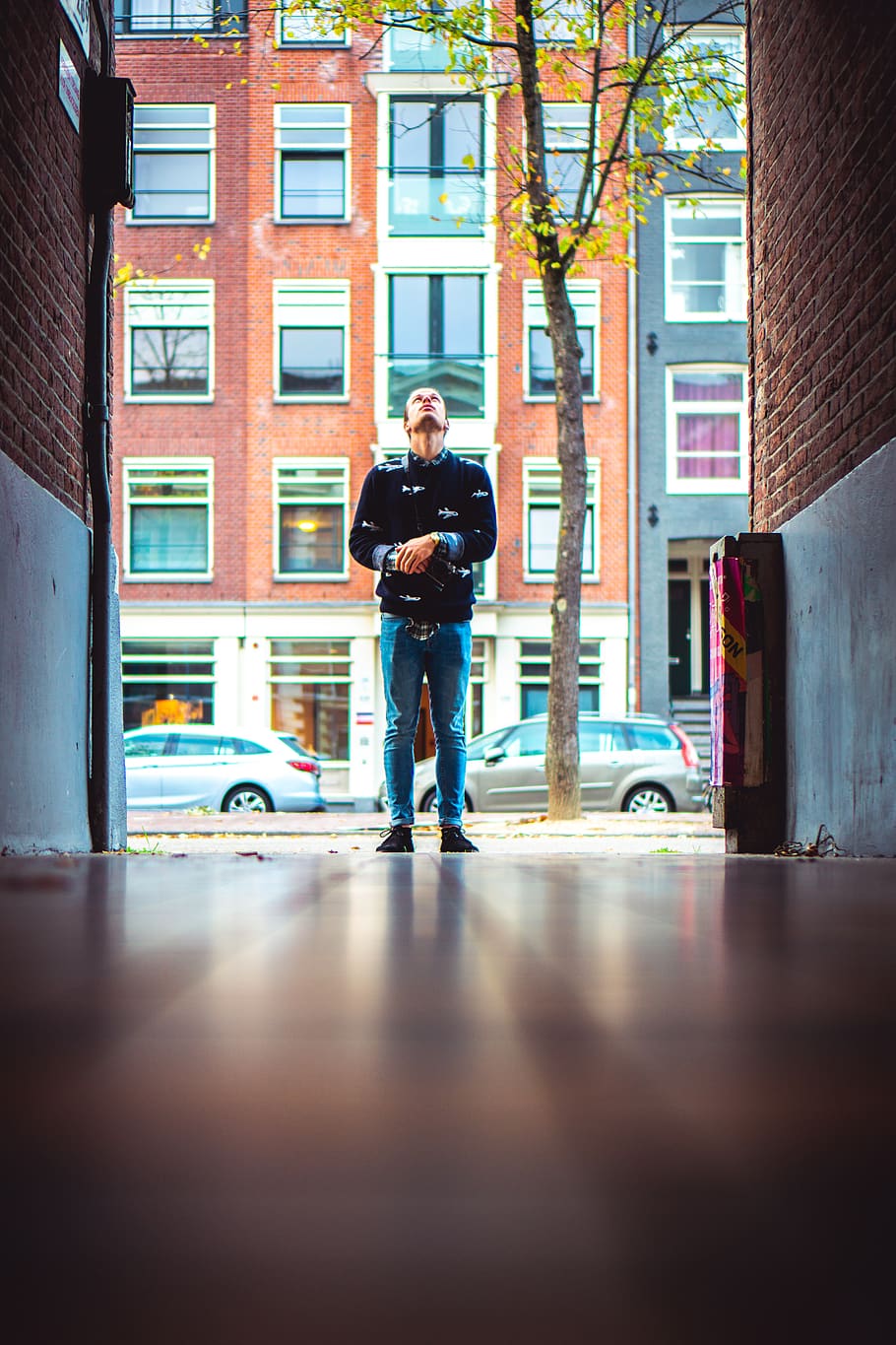 man looking up standing between buildings, people, person, human HD wallpaper