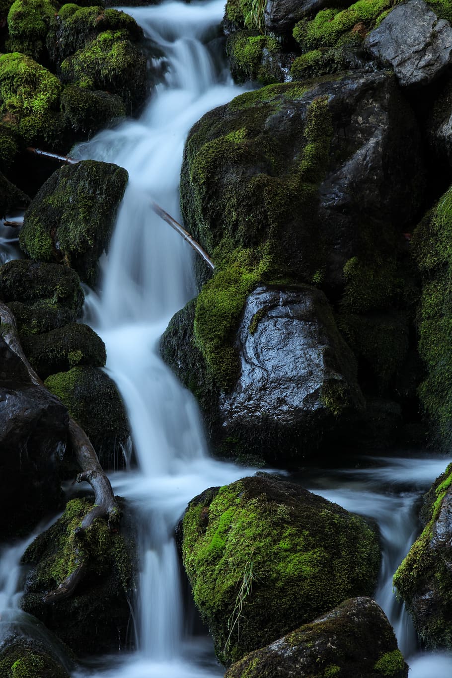 forest, cascade, waterfall, river, long exposure, motion, scenics - nature HD wallpaper