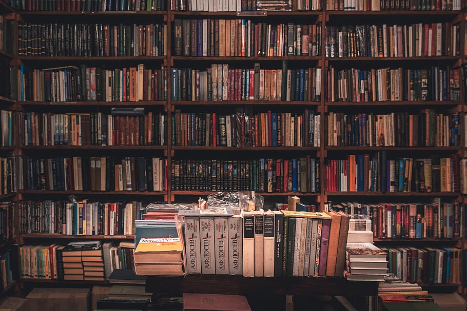 library with books, shelf, publication, bookshelf, large group of objects HD wallpaper