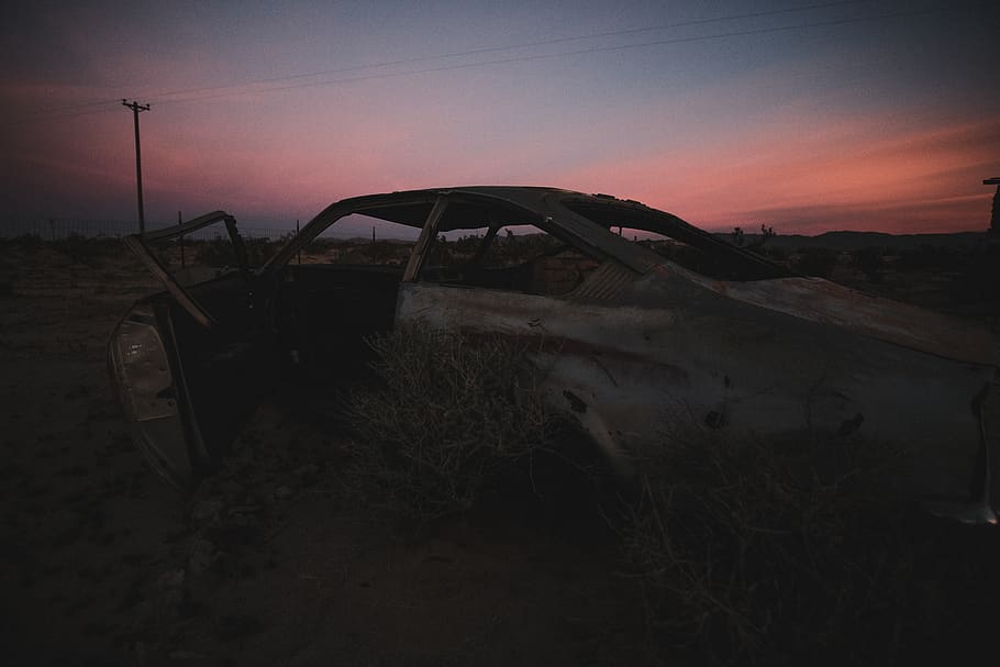 white classic car, nature, outdoors, vehicle, transportation HD wallpaper