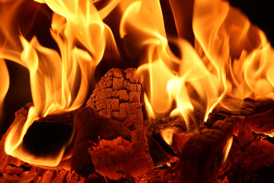 Firewoods on Fire, ash, blaze, bonfire, burn, burning, burnt HD wallpaper
