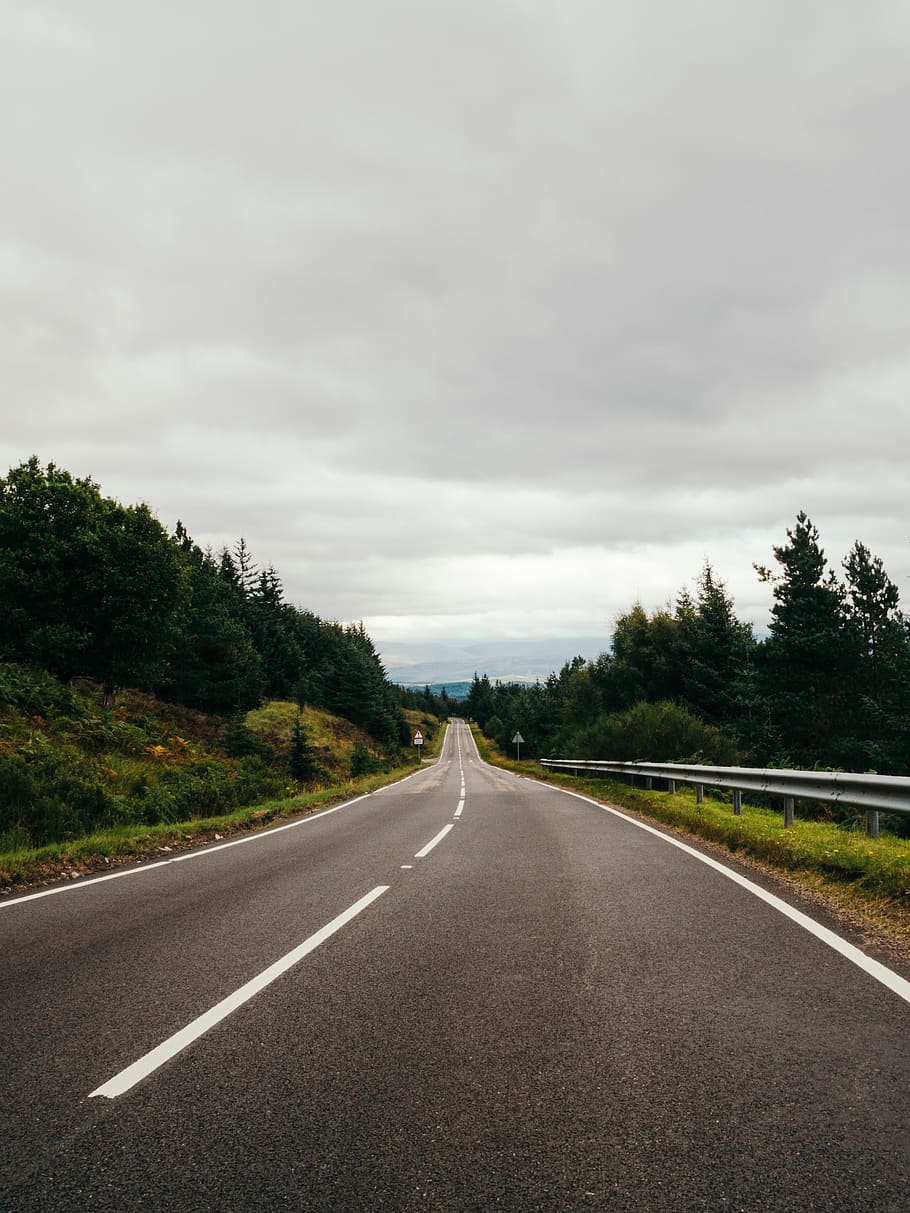 empty highway, road, tree, transportation, direction, sky, the way forward HD wallpaper