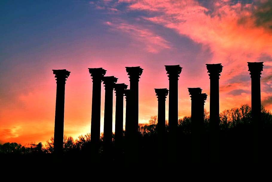 column, sky, arboretum, sunset, silhouette, orange color, no people HD wallpaper